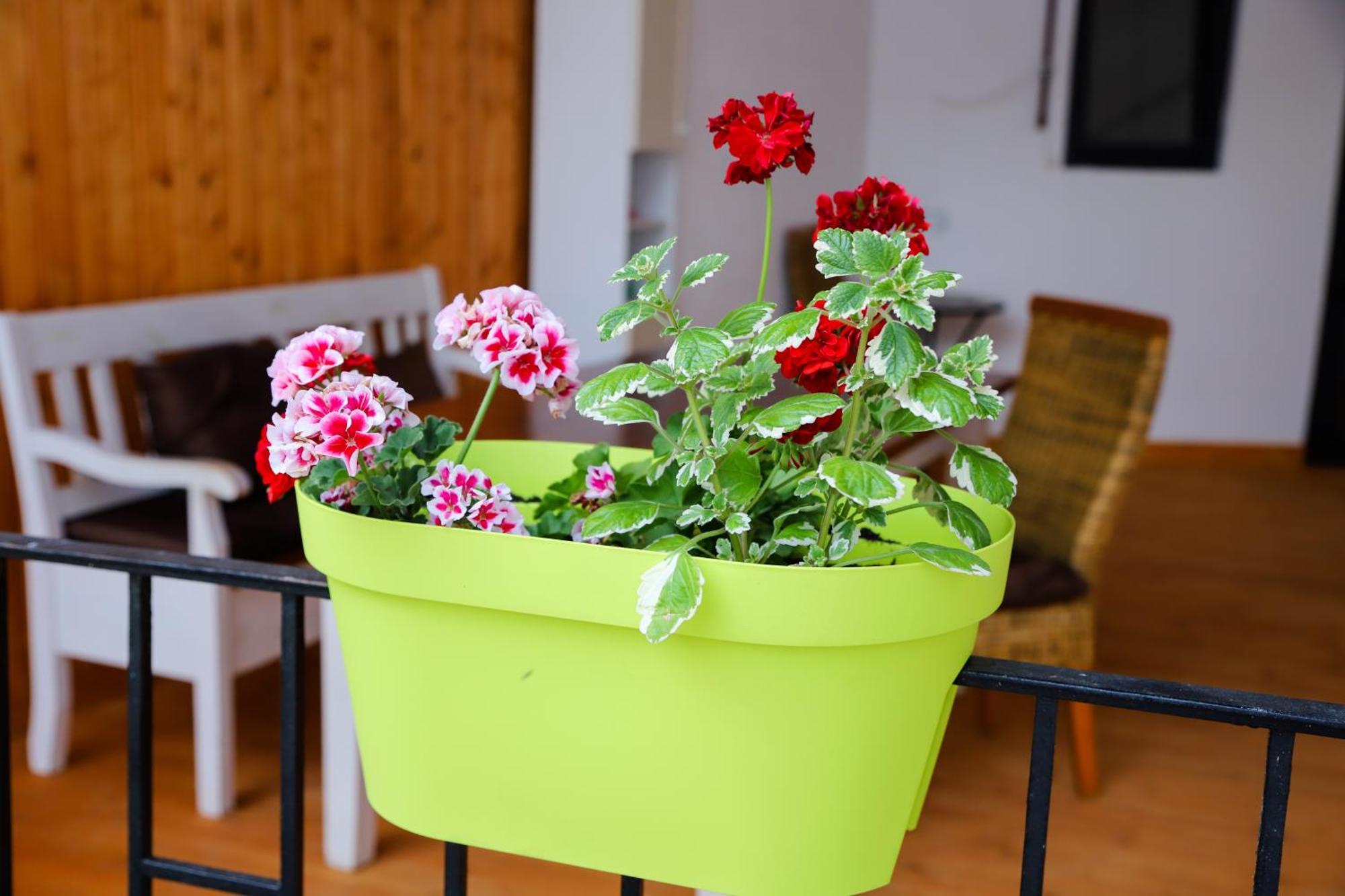 Floasiu Residence Guesthouse Sibiu Exterior foto